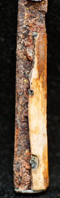 A 17th C. very small knife with a bone handle, found in Middelburgh.