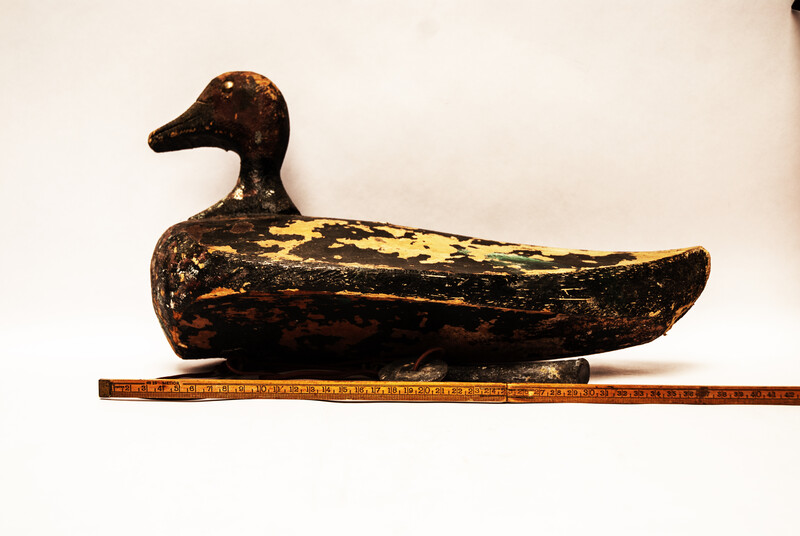 A nineteenth century Dutch wooden decoy duck with lead weights.