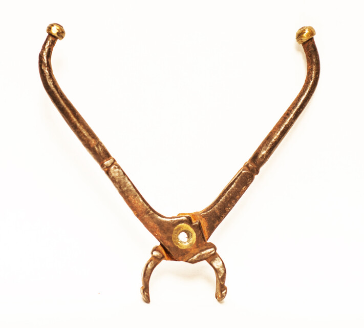 A seventeenth century dental extraction forceps.