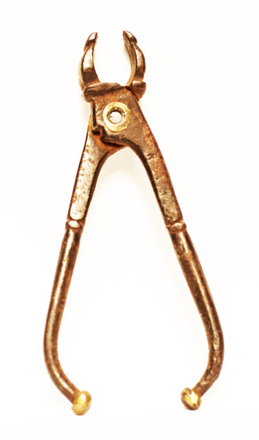 A seventeenth century dental extraction forceps.