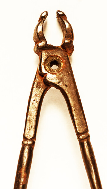 A seventeenth century dental extraction forceps.