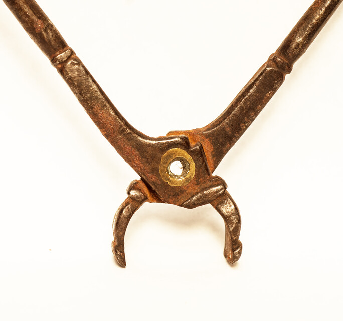 A seventeenth century dental extraction forceps.