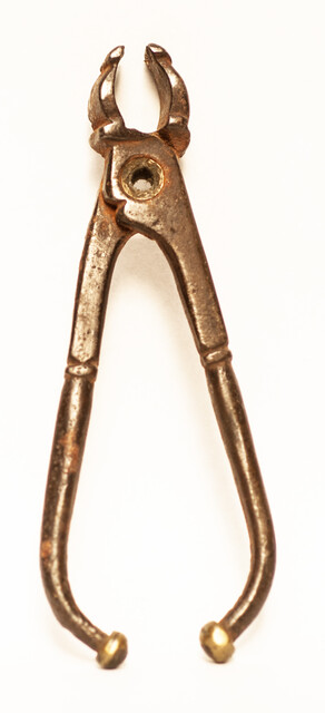 A seventeenth century dental extraction forceps.
