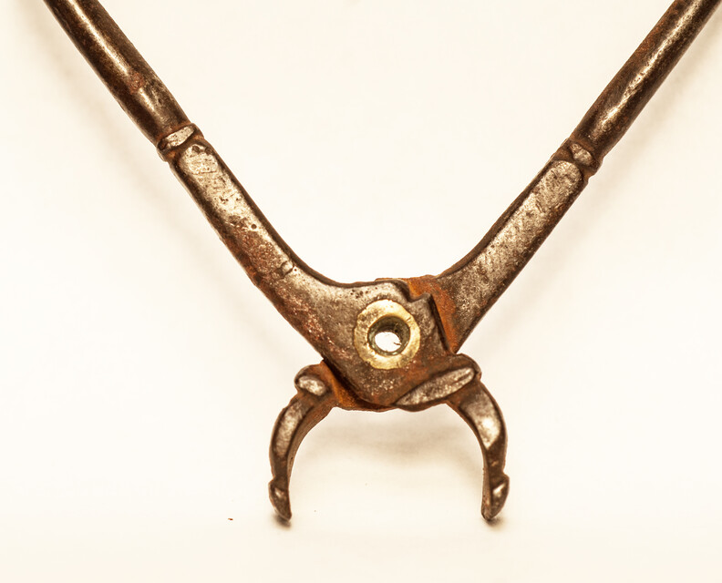 A seventeenth century dental extraction forceps.