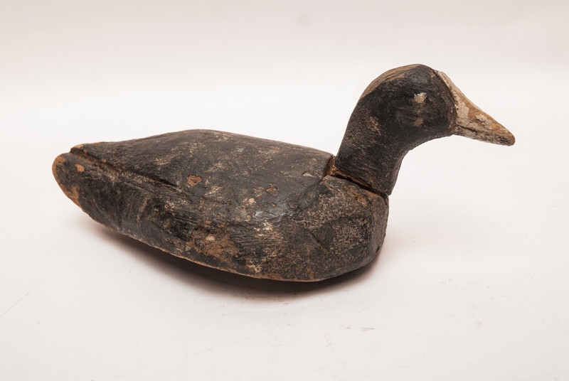 A wooden painted Dutch decoy bird in the form of a coot.