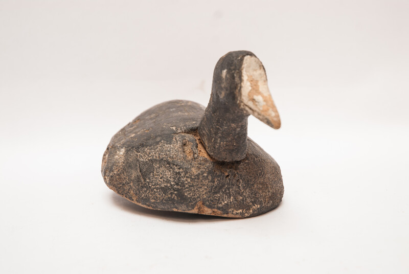 A wooden painted Dutch decoy bird in the form of a coot.
