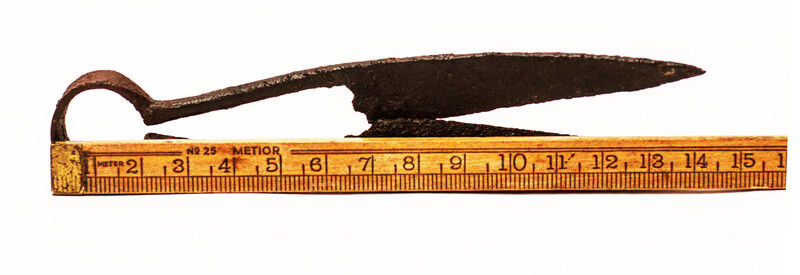An early seventeenth century small animal shears.