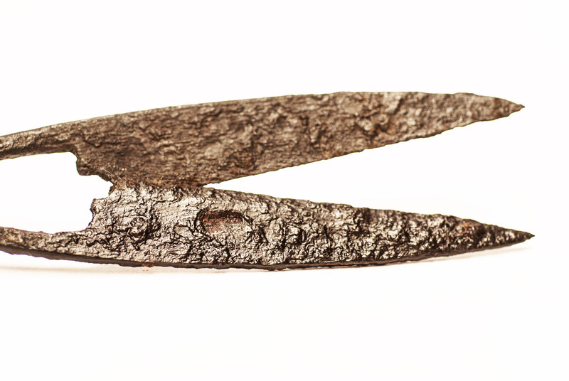 An early seventeenth century small animal shears.