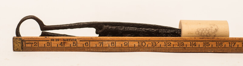 An early seventeenth century small animal shears.