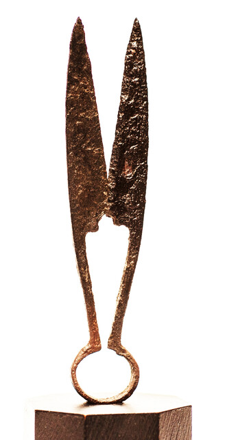 An early seventeenth century small animal shears.