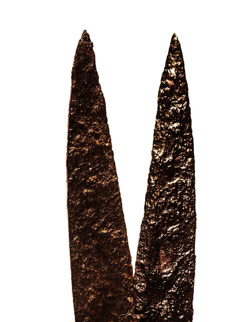 An early seventeenth century small animal shears.