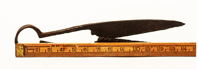An early seventeenth century small animal shears.