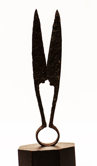 An early seventeenth century small animal shears.