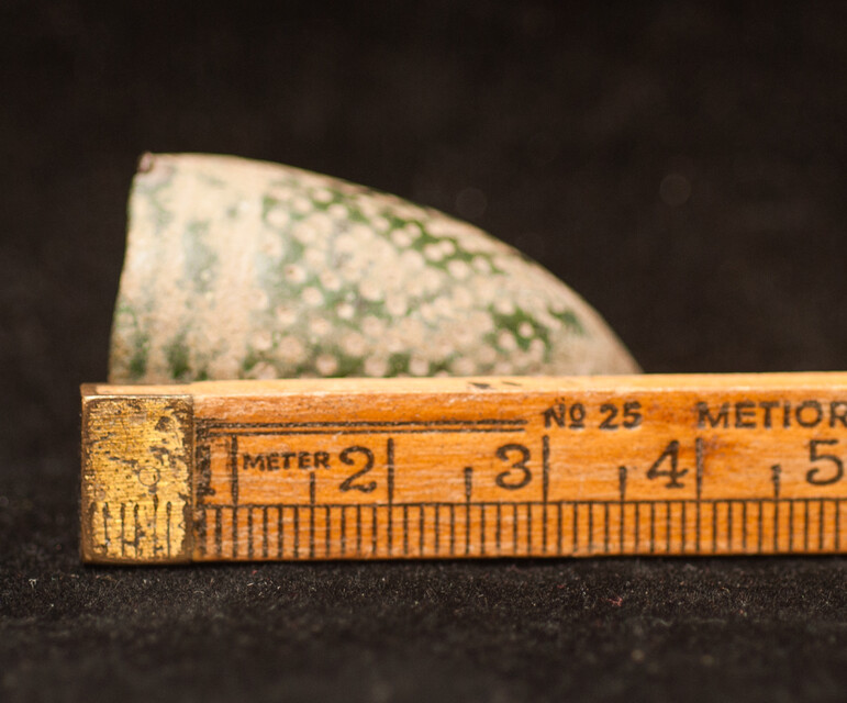 Several early seventeenth century sewing utensils.
